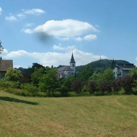 Modern In Vidochov With Swimming Pool Apartmán
